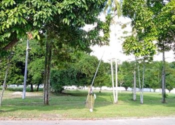 Foto: Cássia Mesquita/Arquivo pessoal