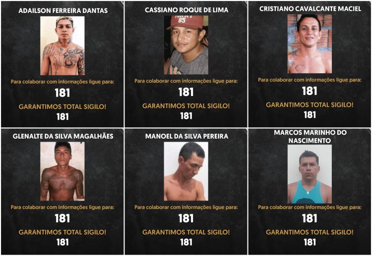 Divulgação-PC