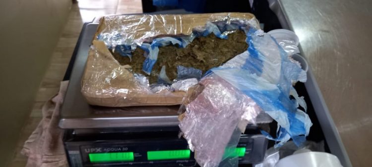 FOTOS: Divulgação/PC-AM