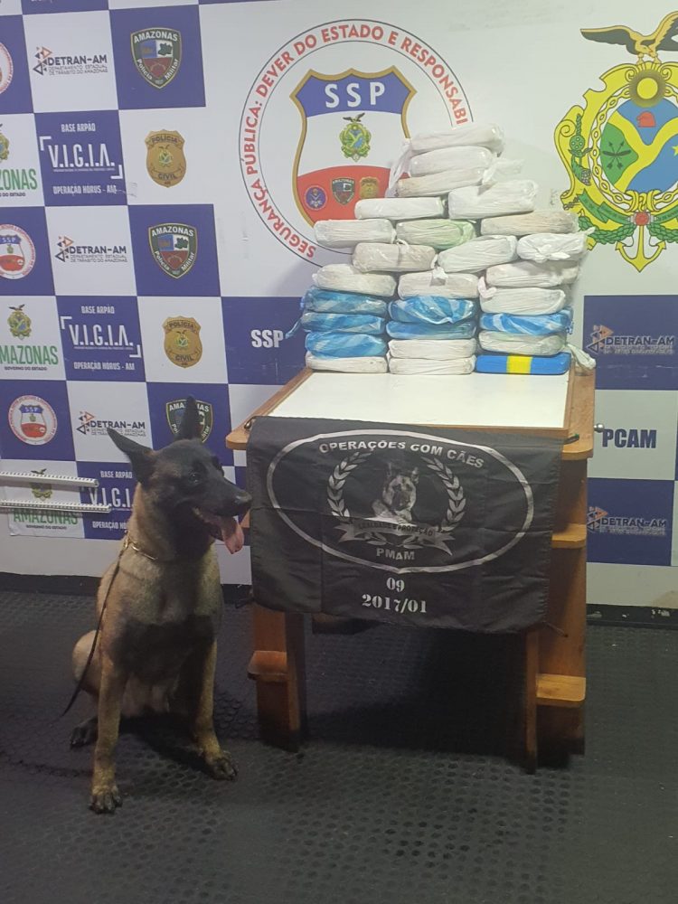 FOTOS: Divulgação/SSP-AM