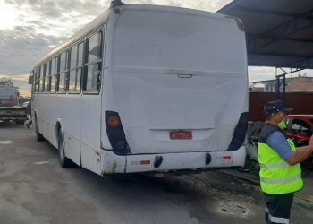 Fotos - Divulgação / IMMU