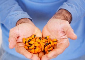 Foto: Jéssica Lane | Corredor Caipira