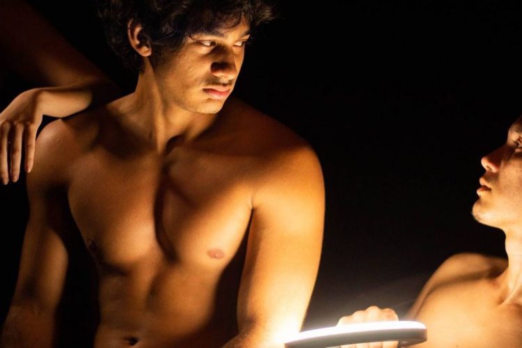 Foto: Michael Dantas (Casa das Artes e David Assayag), Arthur Castro/Secom (Exposição Sarana) e Divulgação (Desassossego)