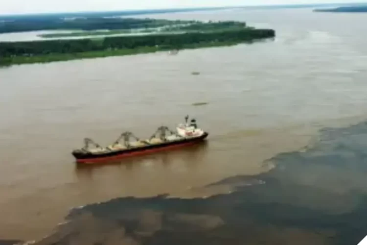 Foto: Reprodução / Internet