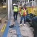 Foto: Divulgação / IMMU