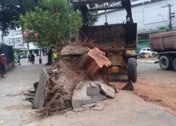 Foto: Divulgação / Semulsp