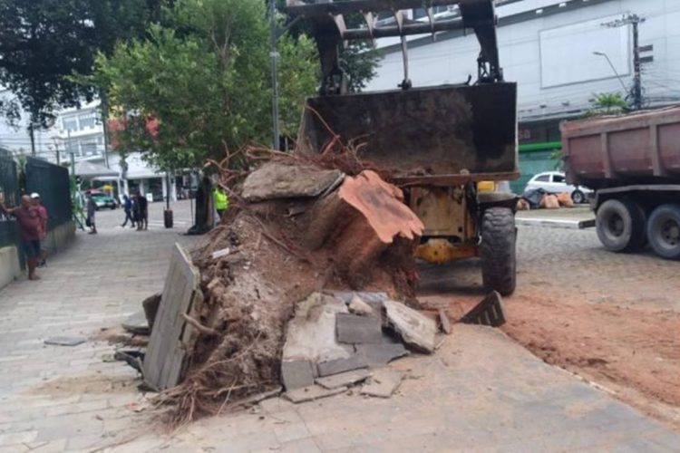 Foto: Divulgação / Semulsp