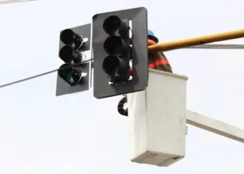 Foto: Divulgação / IMMU