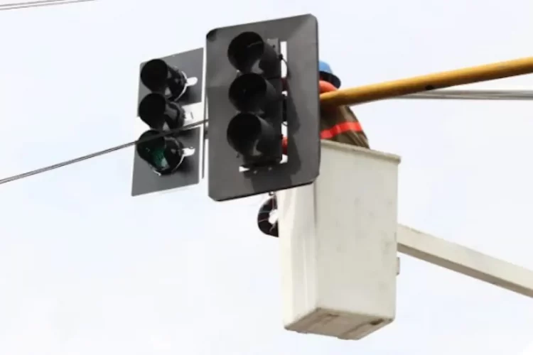 Foto: Divulgação / IMMU