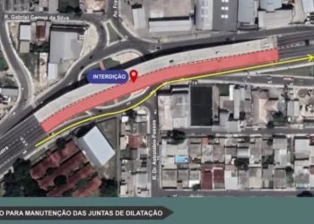 Arte – Divulgação / IMMU