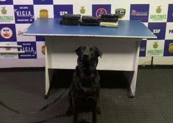 FOTO: Divulgação/SSP-AM