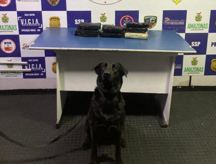 FOTO: Divulgação/SSP-AM