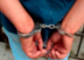 Foto: Reprodução / Internet