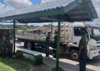 Foto: Divulgação / IMMU