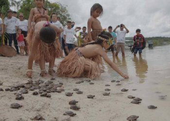 Foto: Divulgação/Sema