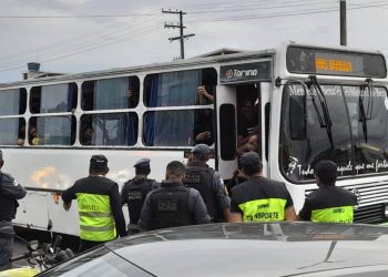 Foto: Divulgação / IMMU