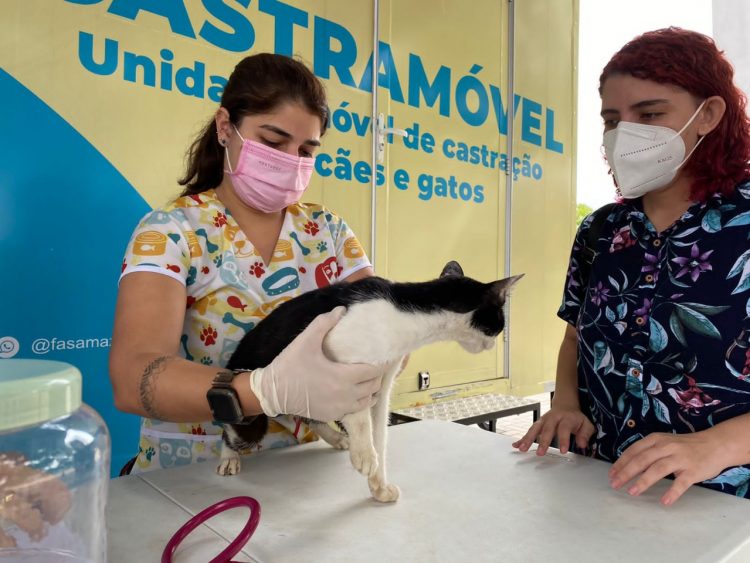 Foto: Divulgação/Sema