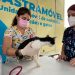 Foto: Divulgação/Sema