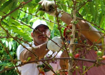 Foto: Analu Vieira/Idam