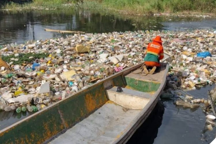Foto: Divulgação/ Semulsp