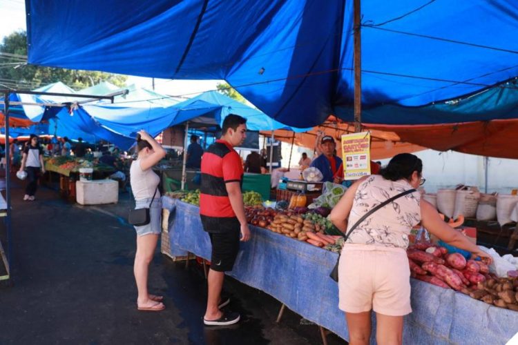 Foto: Bruno Zanardo/Secom