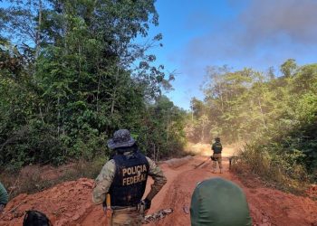Divulgação | Polícia Federal- Operação operação contínua Onipresente,  que combate a repressão da extração de madeira e garimpos clandestinos em terras indígenas.