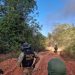 Divulgação | Polícia Federal- Operação operação contínua Onipresente,  que combate a repressão da extração de madeira e garimpos clandestinos em terras indígenas.