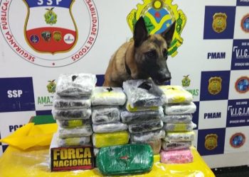 FOTO: Divulgação/SSP-AM