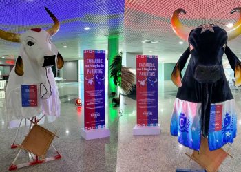 Foto: Rayanna Simões/Amazonastur