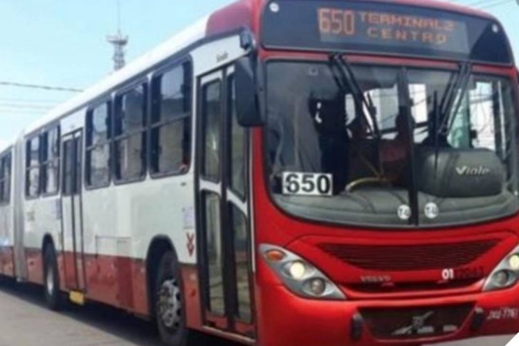 Foto: Reprodução / Internet