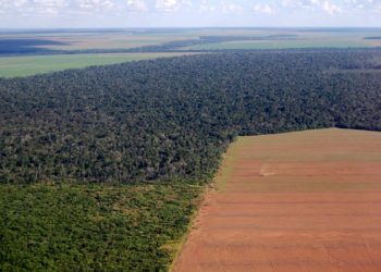 Foto: Reprodução / Internet