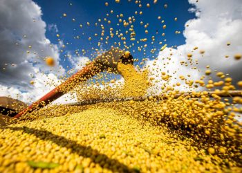 Foto: Reprodução | Internet