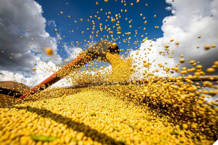 Foto: Reprodução | Internet