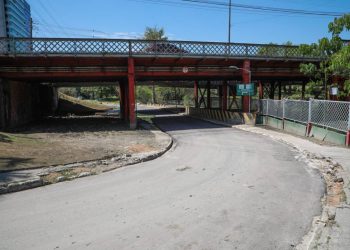 Foto: Divulgação / IMMU