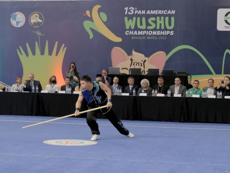 13º Campeonato Pan-americano de Wushu (Kungfu). Foto: Wilson Dias/Agência Brasil
