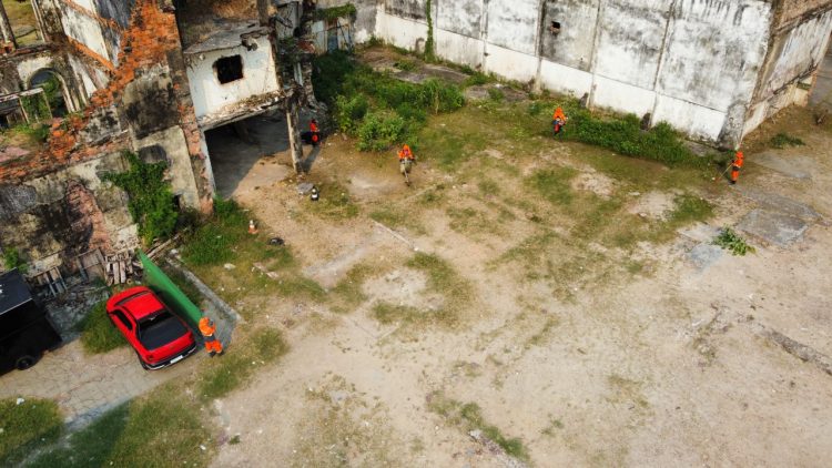 Divulgação | Semulp