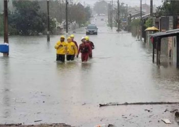 Foto: Reprodução / Internet