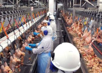 Foto: Reprodução / Internet