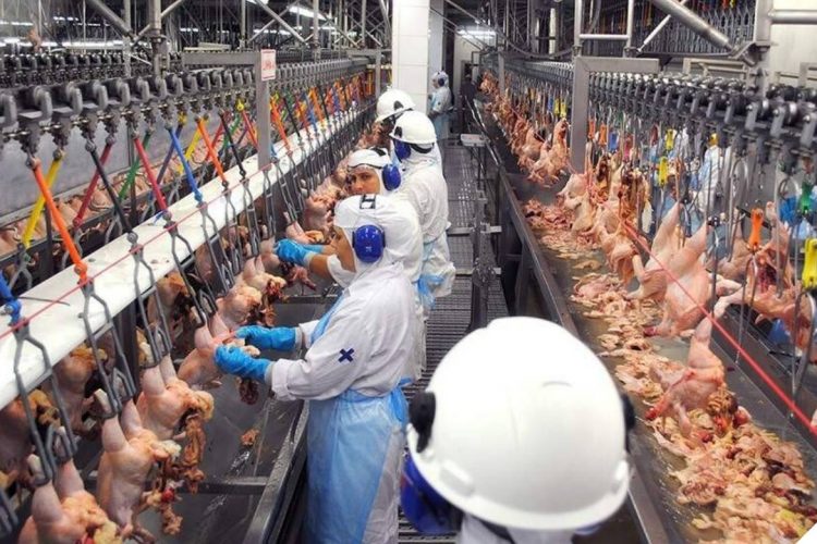 Foto: Reprodução / Internet