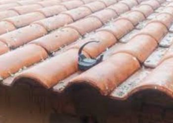 Foto: Reprodução / Internet