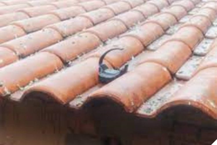 Foto: Reprodução / Internet