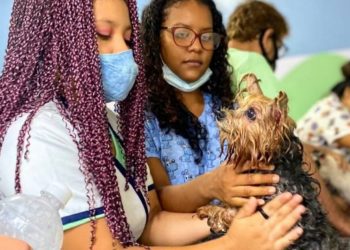 Foto: Divulgação / Semtepi