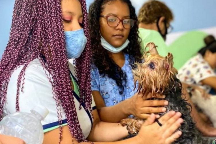 Foto: Divulgação / Semtepi