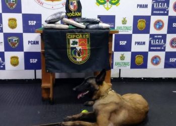 Foto: Divulgação SSP-AM