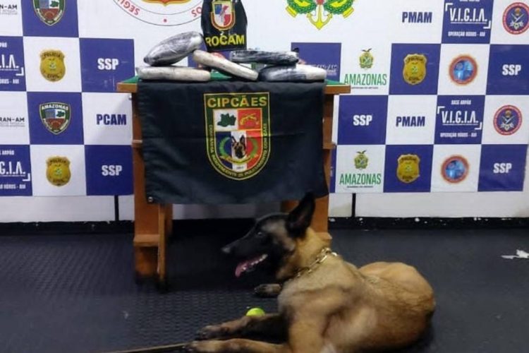 Foto: Divulgação SSP-AM