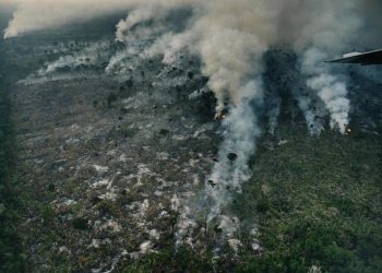 Foto: Divulgação / Greenpeace