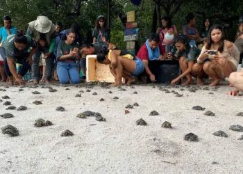 Foto: Anayra Benevides/Amazonastur