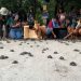 Foto: Anayra Benevides/Amazonastur