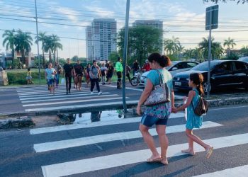 Foto: Divulgação / IMMU