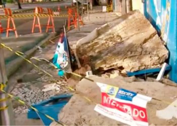 Foto: Reprodução / Internet